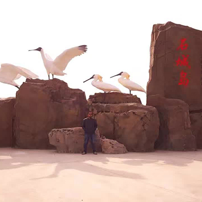 大連91视频精选